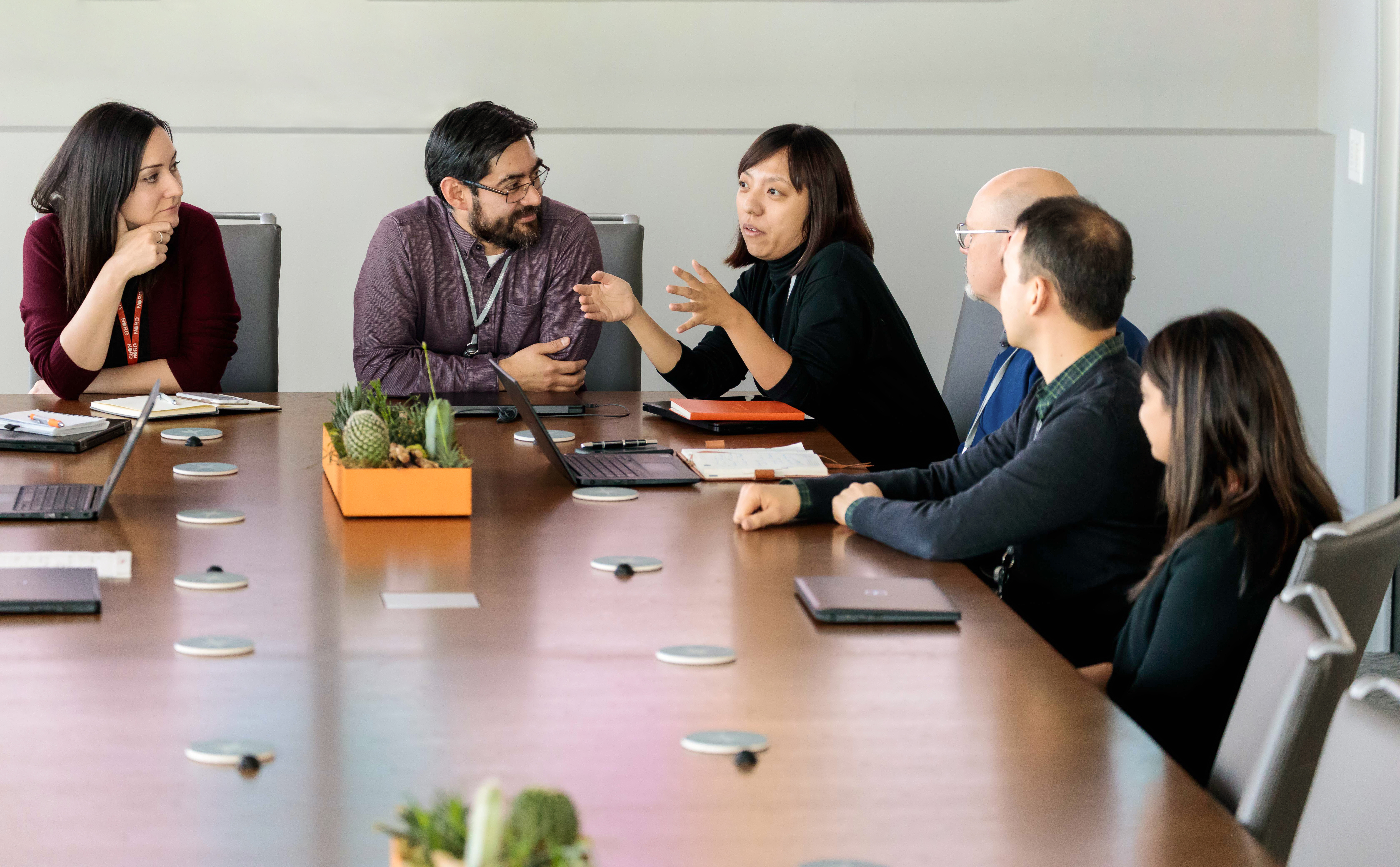 A diverse group of professionals speaking around a conference table.